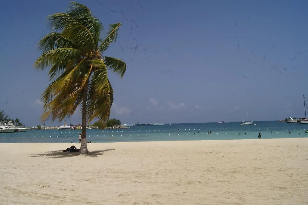 Alva Mae Apartamento Ocho Rios Jamaica